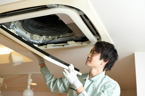 Best Air Duct Mold Removal  in East York, PA