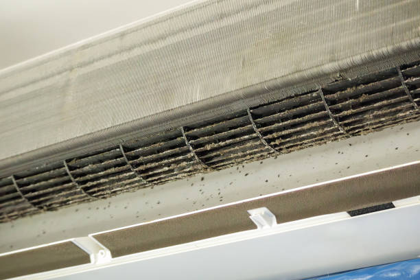 Best HVAC System Cleaning  in East York, PA